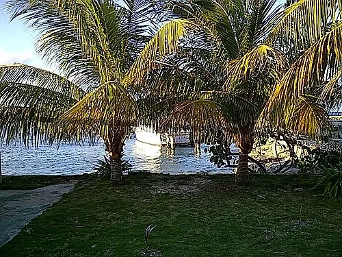 Hotel Cariblue & Scuba 3*